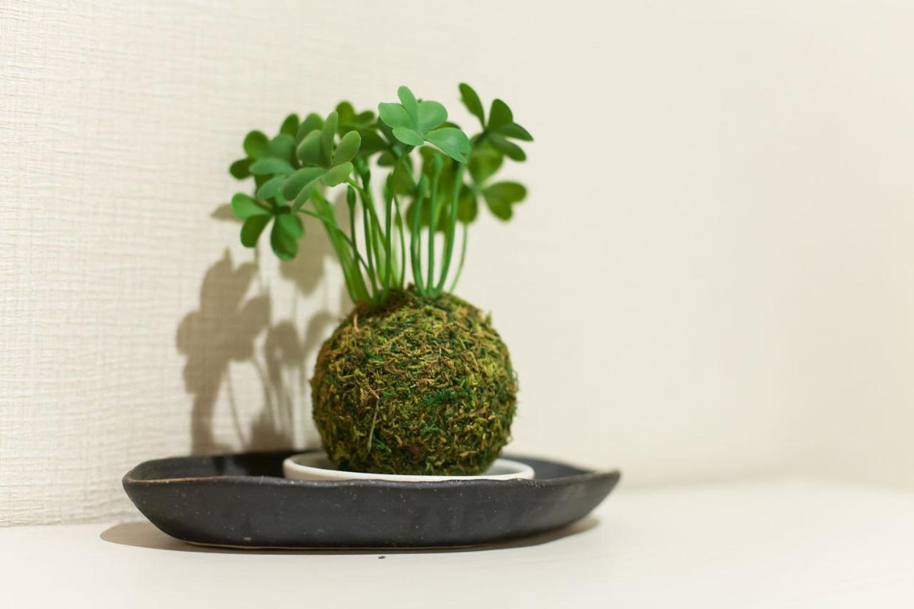 Ostay Ikebukuro Dairaku Apartment *